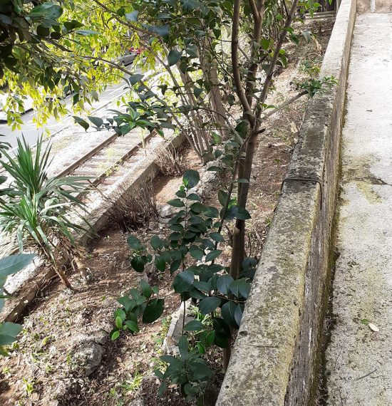 Okućnica prije i poslije