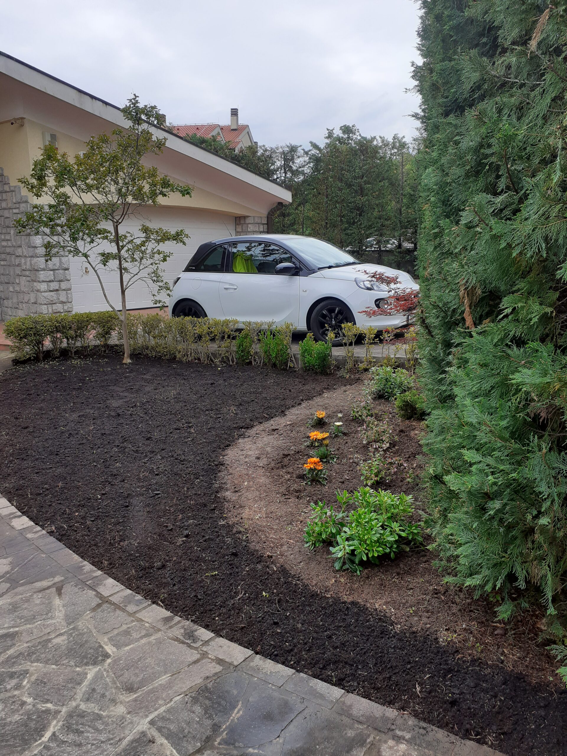 Sjetva trave i sadnja grmova